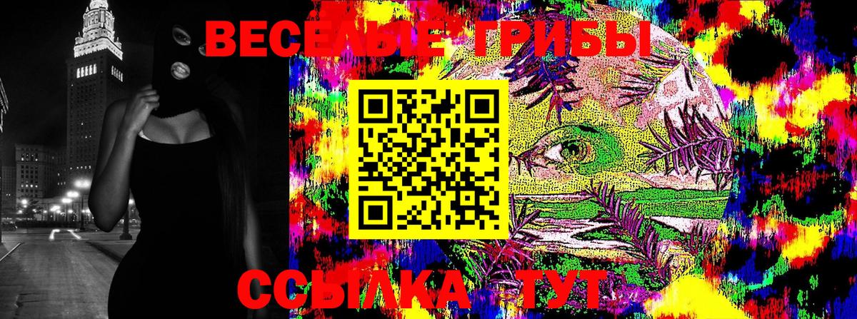 Гулькевичи  Псилоцибиновые грибы Psilocybine cubensis  Вход с VPN 